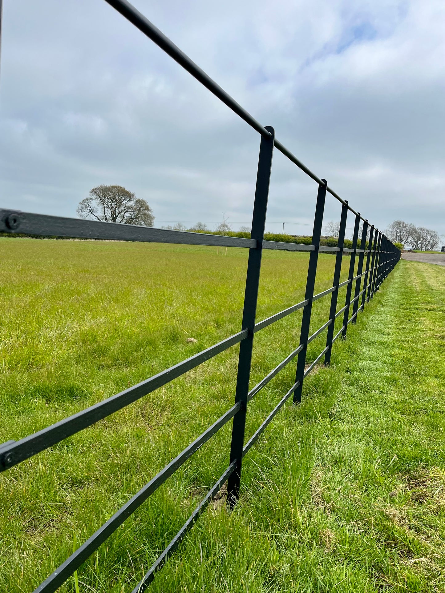Middleham Estate Railings