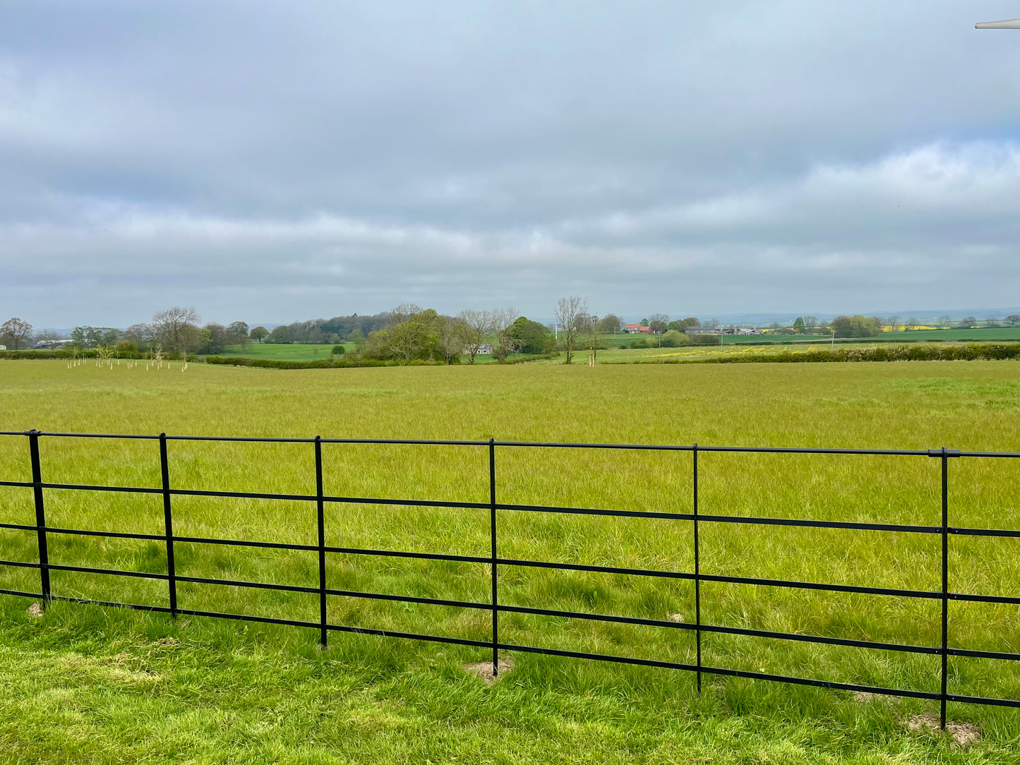 Middleham Estate Railings