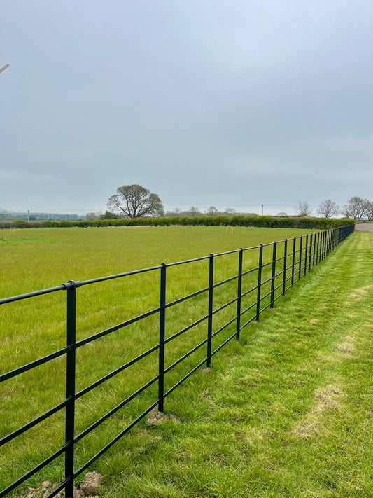 Middleham Estate Railings